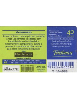 SERIE FILHOTES DE CAES 10/10 - SAO BERNARDO