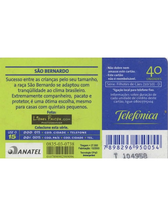 SERIE FILHOTES DE CAES 10/10 - SAO BERNARDO
