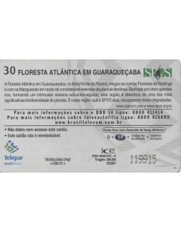 SERIE AMBIENTES 01/09 - FLORESTA ATLANTICA EM GUARAQUEÇABA