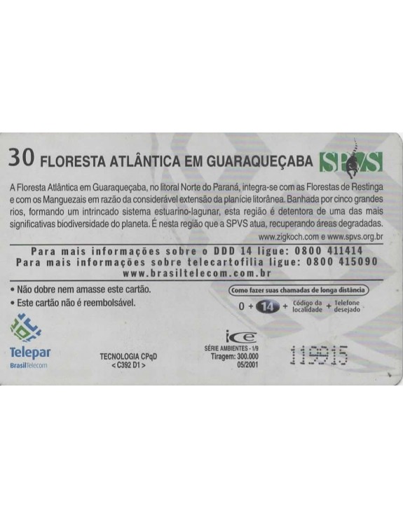 SERIE AMBIENTES 01/09 - FLORESTA ATLANTICA EM GUARAQUEÇABA
