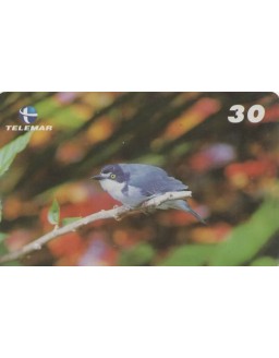 SERIE AVES DA BAHIA - SAIRA DE CHAPEU PRETO - NEMOSIA PILEATA