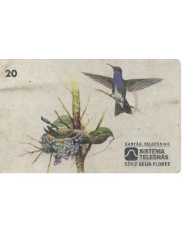 SERIE BEIJA FLORES