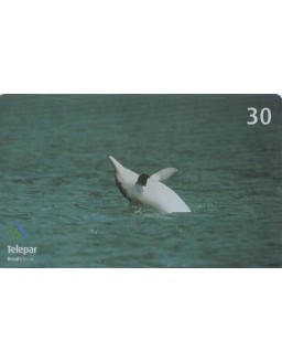 SERIE CURIOSIDADES 01/10 - BOTO CINZA