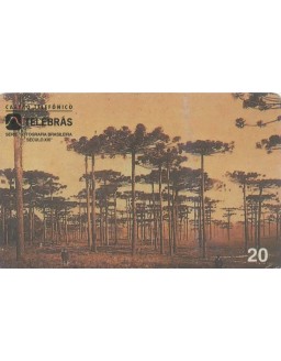 SERIE FOTOGRAFIA BRASILEIRA SECULO XIX - ARAUCARIA (PINHEIRO DO PARANA) CURITIBA 1879