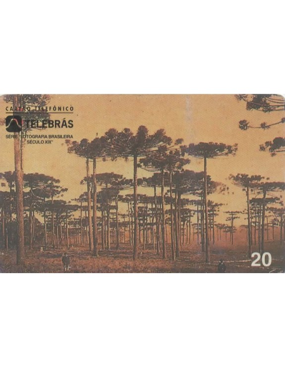 SERIE FOTOGRAFIA BRASILEIRA SECULO XIX - ARAUCARIA (PINHEIRO DO PARANA) CURITIBA 1879