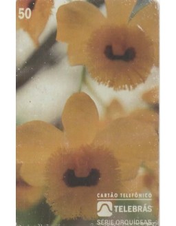 SERIE ORQUIDEAS - DENDROBIUM DESSIFLORUM