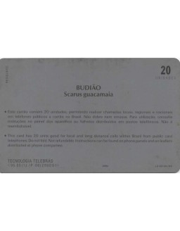 SERIE PEIXES - BUDIAO SCARUS GUACAMAIA