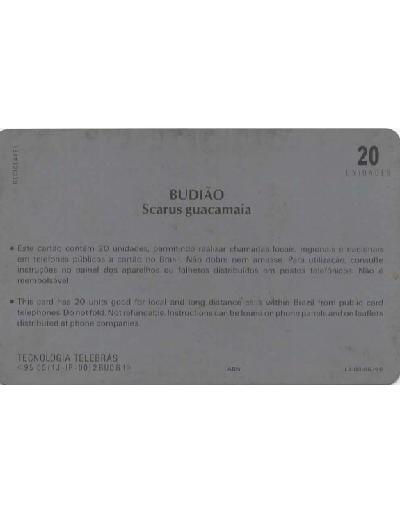 SERIE PEIXES - BUDIAO SCARUS GUACAMAIA
