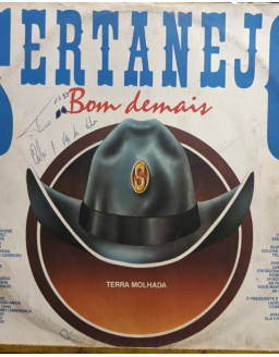 SERTANEJO BOM DEMAIS