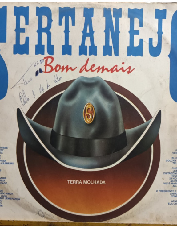 SERTANEJO BOM DEMAIS