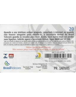 BRASIL TELECOM - SERVIÇOS INTELIGENTES 02/04 - SECRETARIA VIRTUAL