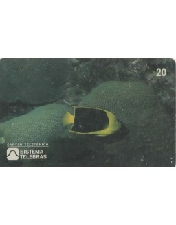 ANO INTERNACIONAL DOS OCEANOS - 1998 - SOLDADO - HOLACANTHUS TRICOLOR