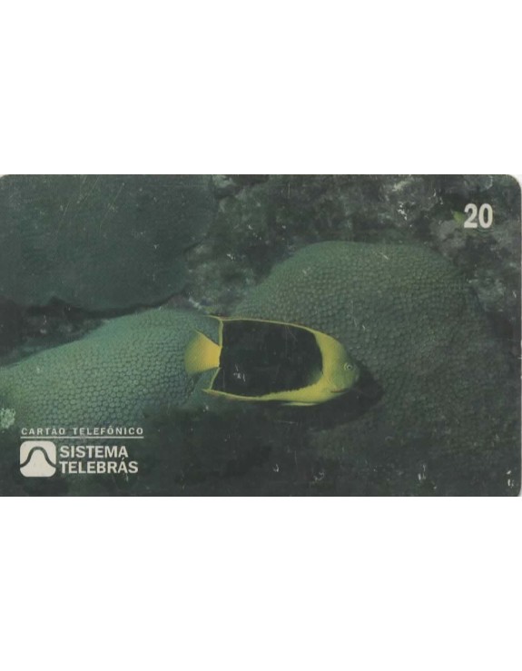 ANO INTERNACIONAL DOS OCEANOS - 1998 - SOLDADO - HOLACANTHUS TRICOLOR