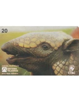 CTBC - SERIE MATA ATLANTICA - TATU