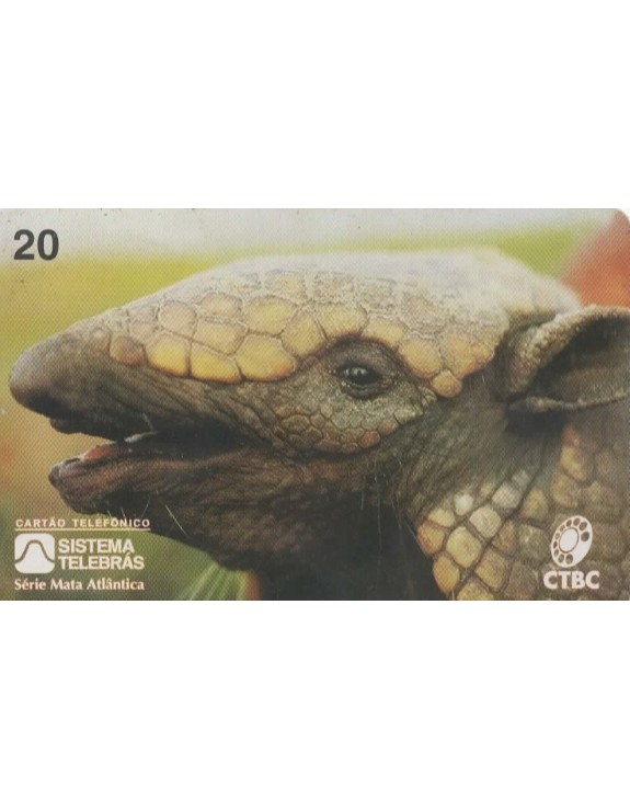 CTBC - SERIE MATA ATLANTICA - TATU