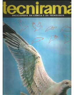 TECNIRAMA 025