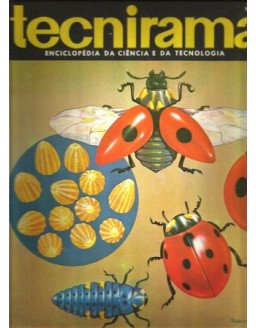TECNIRAMA 033