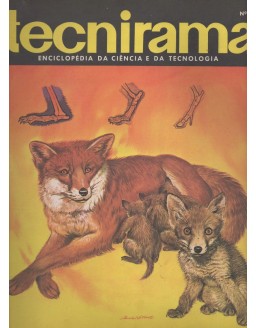 TECNIRAMA 035