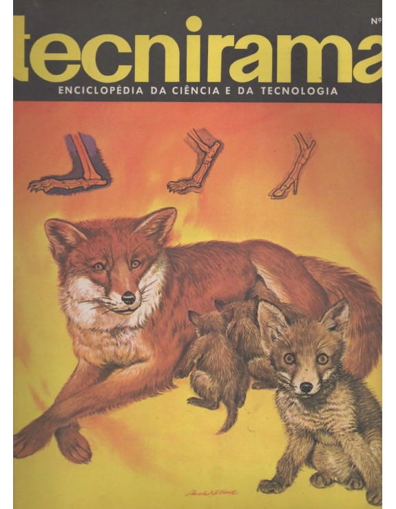 TECNIRAMA 035