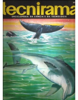 TECNIRAMA 040