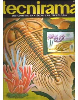 TECNIRAMA 042