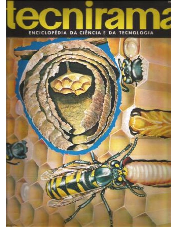 TECNIRAMA 047