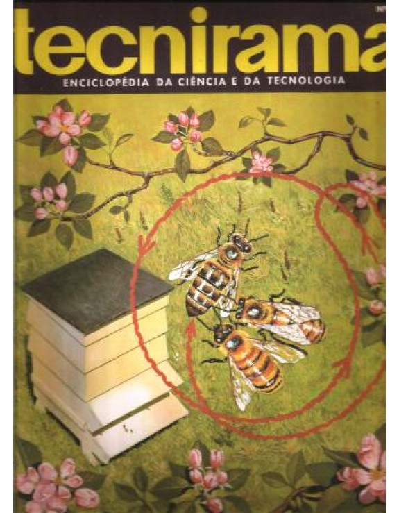 TECNIRAMA 052