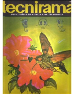 TECNIRAMA 095