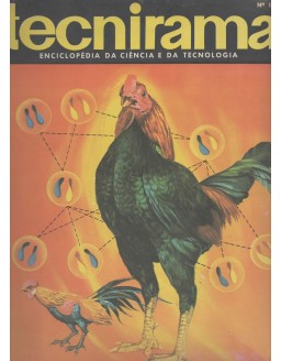 TECNIRAMA 109