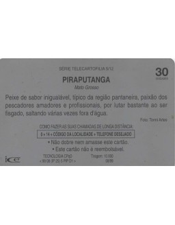 TELEMAT - SERIE TELECARTOFILIA 05/12 - PIRAPUTANGA