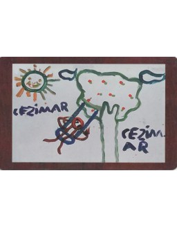 TELEPAR - APACN