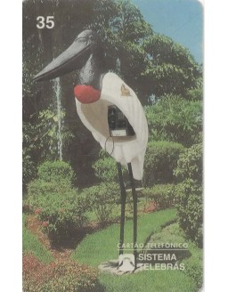 TUIUIU -  DA FAMILIA DOS CICONÍDIOS - JABIRU MICTERIA