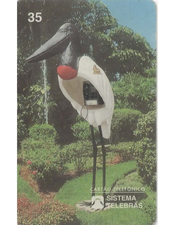 TUIUIU -  DA FAMILIA DOS CICONÍDIOS - JABIRU MICTERIA