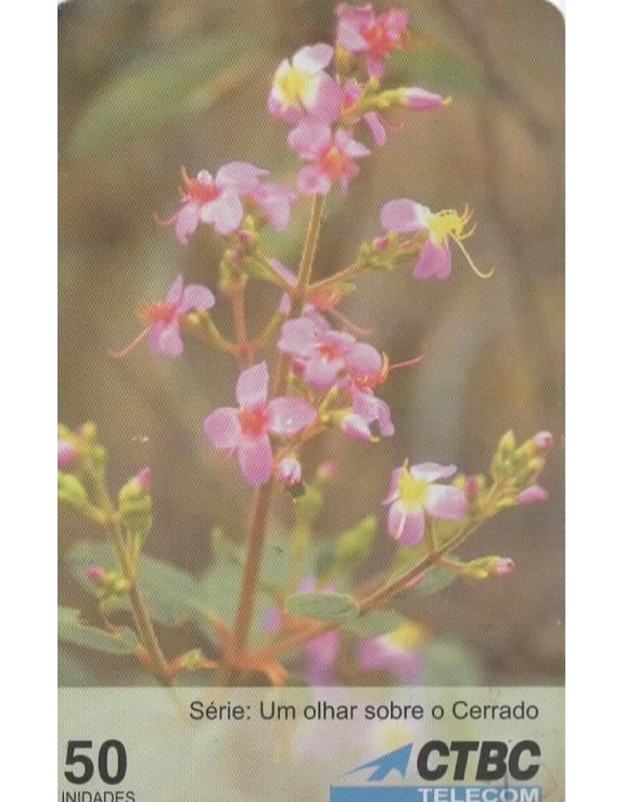 CTBC - SERIE UM OLHAR SOBRE O CERRADO - TEMA : AS FLORES