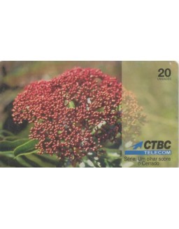CTBC - SERIE UM OLHAR SOBRE O CERRADO - TEMA : AS FLORES