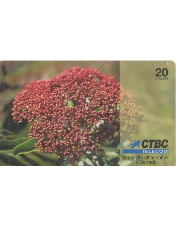 CTBC - SERIE UM OLHAR SOBRE O CERRADO - TEMA : AS FLORES
