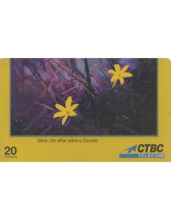CTBC - SERIE UM OLHAR SOBRE O CERRADO - TEMA : AS FLORES